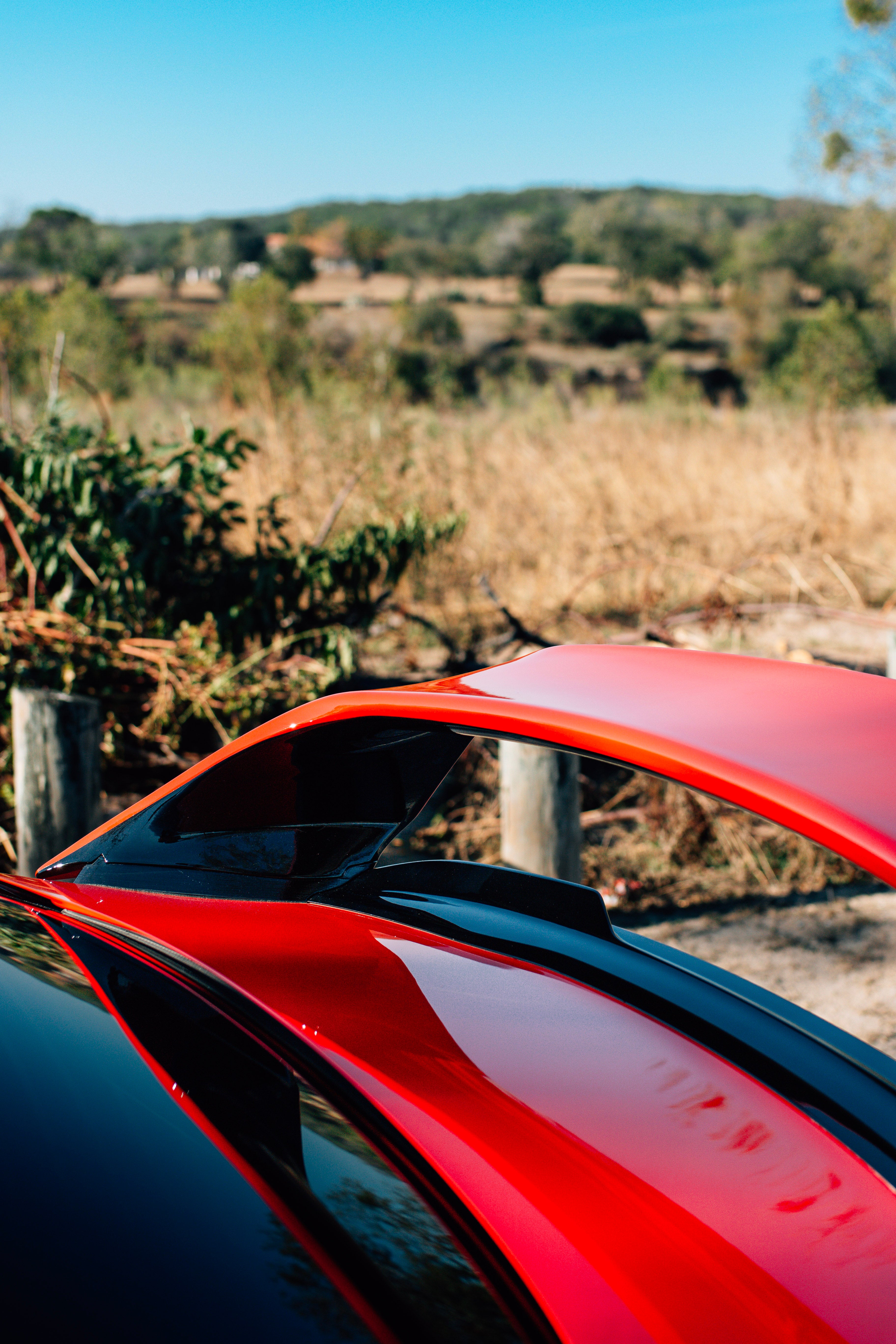 Sport Wing – Honda Civic Sedan (FE 2022+)